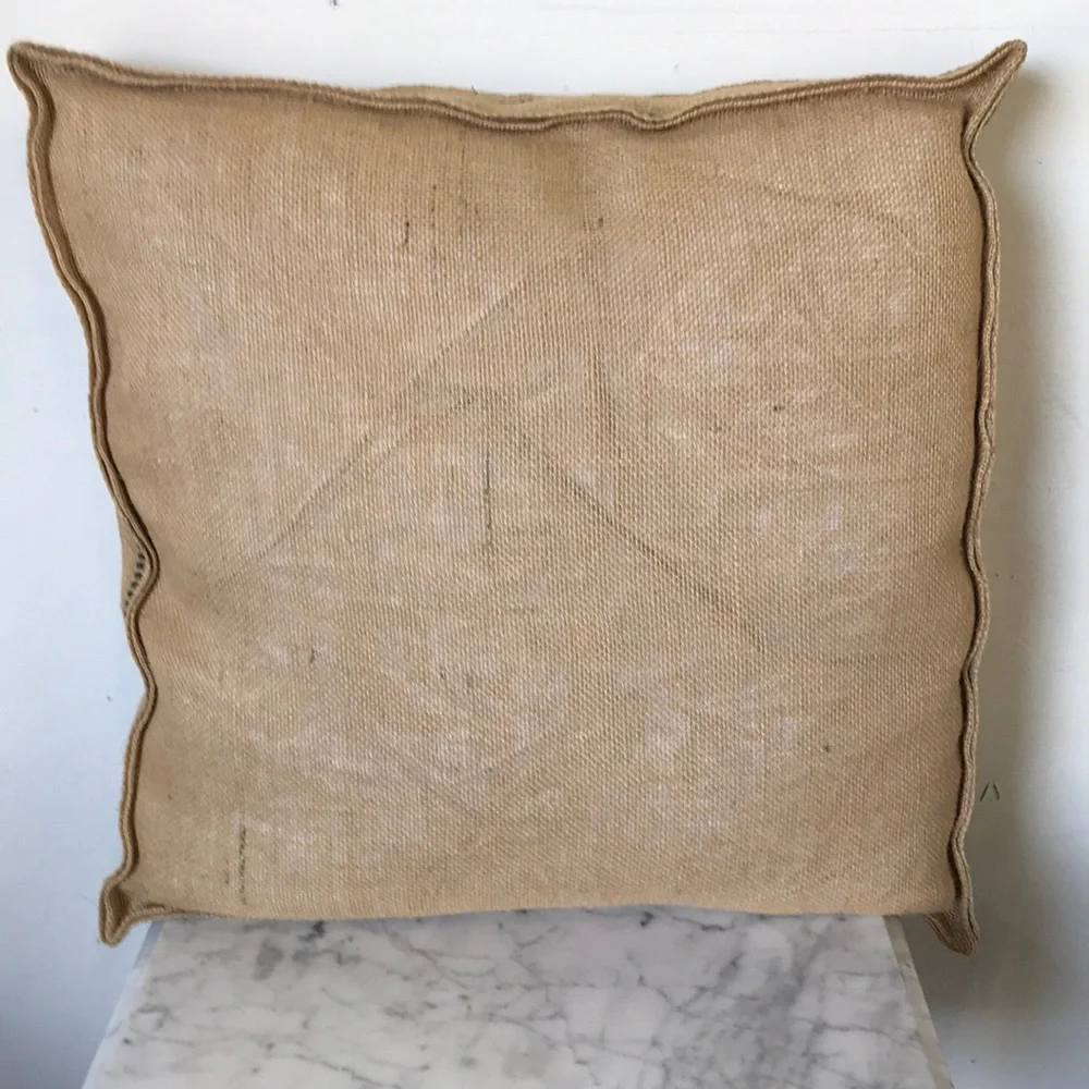 NWOT French Naturalist Botanical Box Pillow